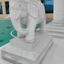 平凉 白麻花岗岩动物异形石雕-大象